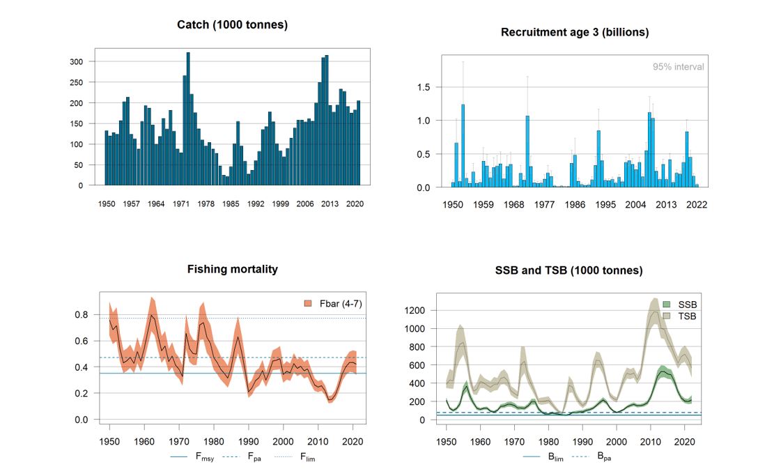 graphs, stock development