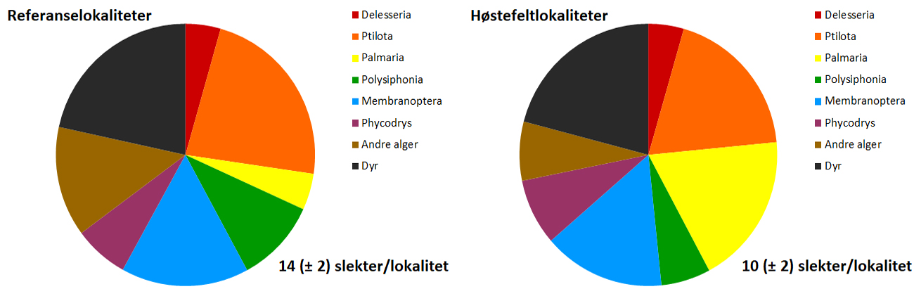 Diagram av registrerte påvekstorganismer hos innsamlede stortarestilker