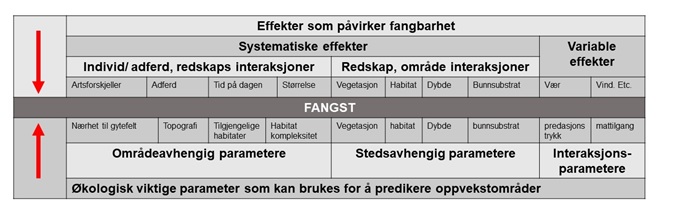 Skjematisk oversikt over hvilke faktorer som påvirker fangst