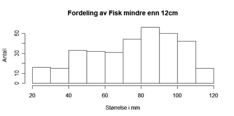 Histogram som viser fordeling av fisk i ulike størrelsesklasser