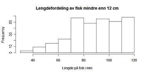 Histogram som viser mengden fisk i ulike størrelseskategorier