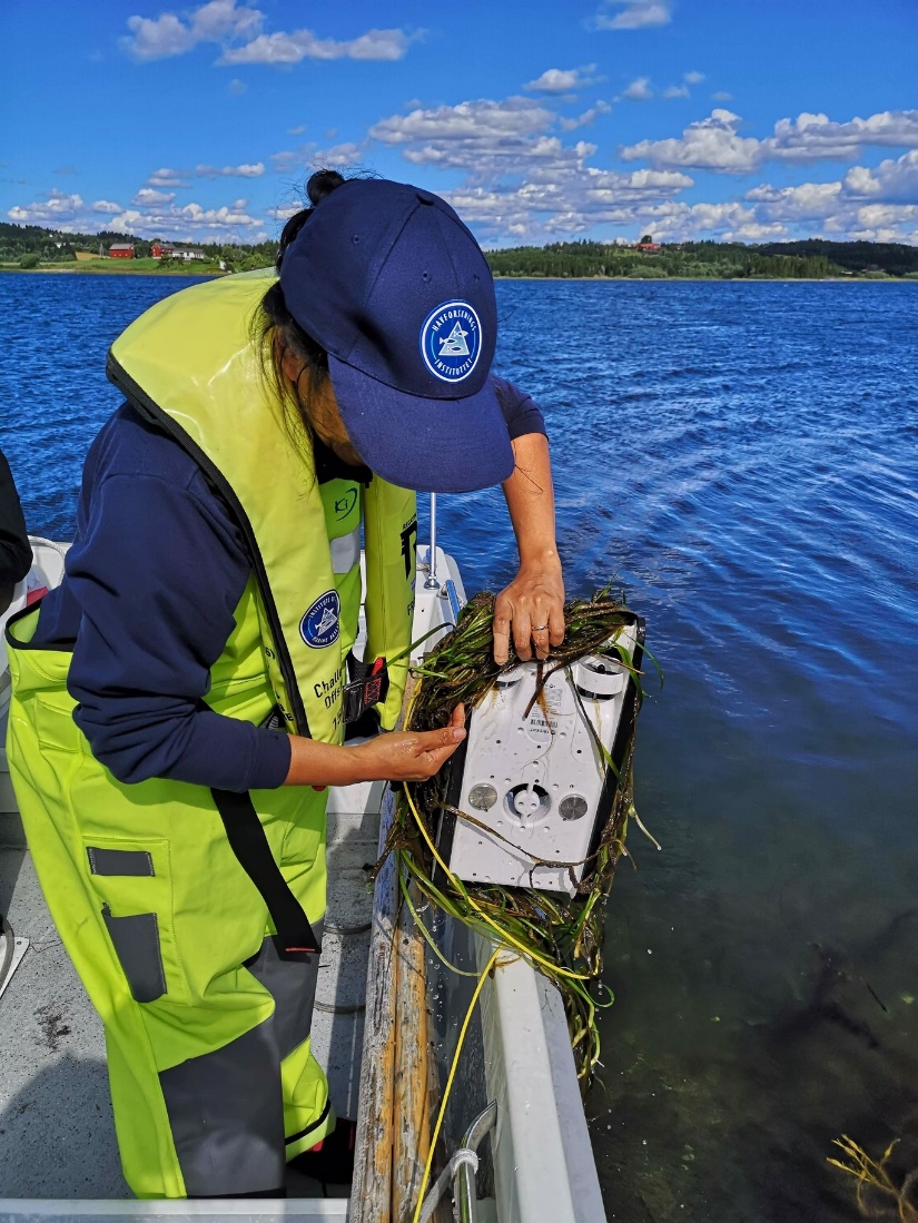 Bilde av Portia Nillos Kleiven som renser motorene på en drone for ålegress.