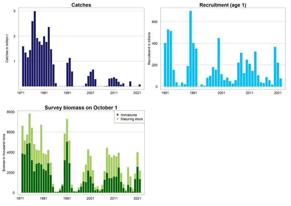 Capelin in subareas 1 and 2, excluding Division 2a west of 5°W (Barents Sea capelin). Landings, recruitment and summary of stock assessment (Biomass of maturing (>14 cm) and immature (<14 cm) stock in tonnes). 2022 estimate is not corrected for incom-plete survey coverage. 