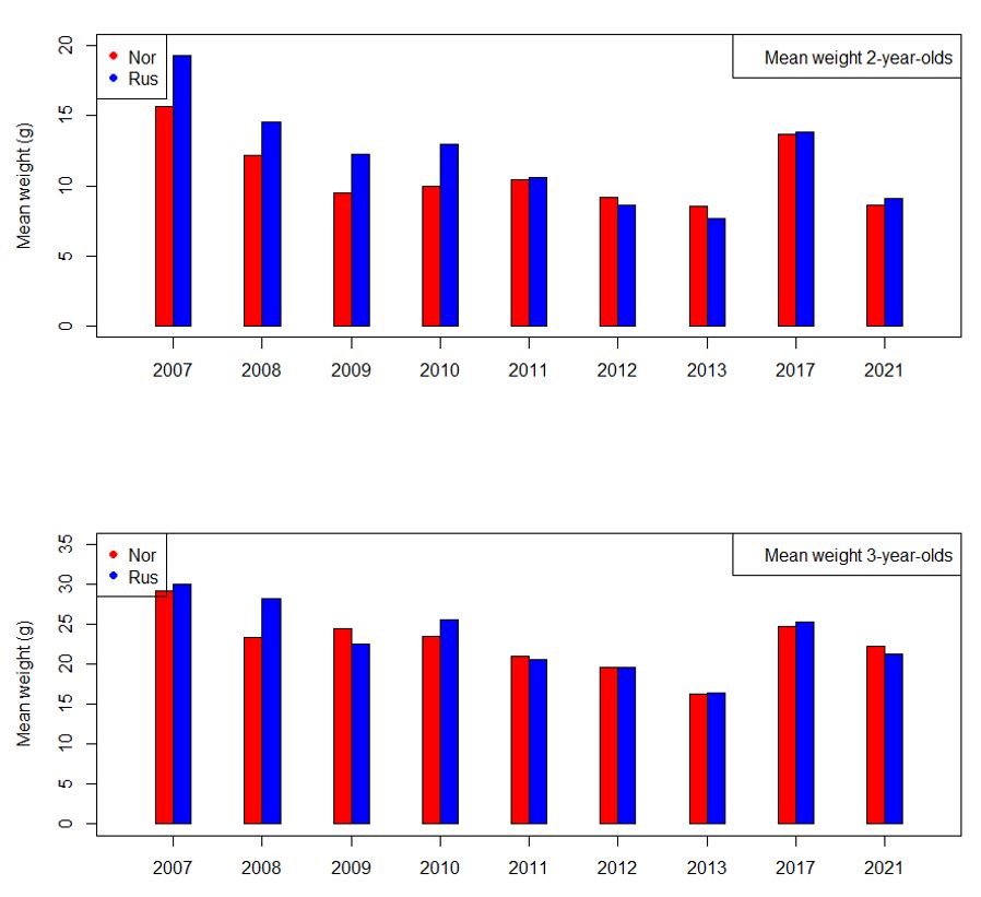  Mean weight at age 2 and 3 for BESS years (2004-2021) with high biomass of maturing capelin.