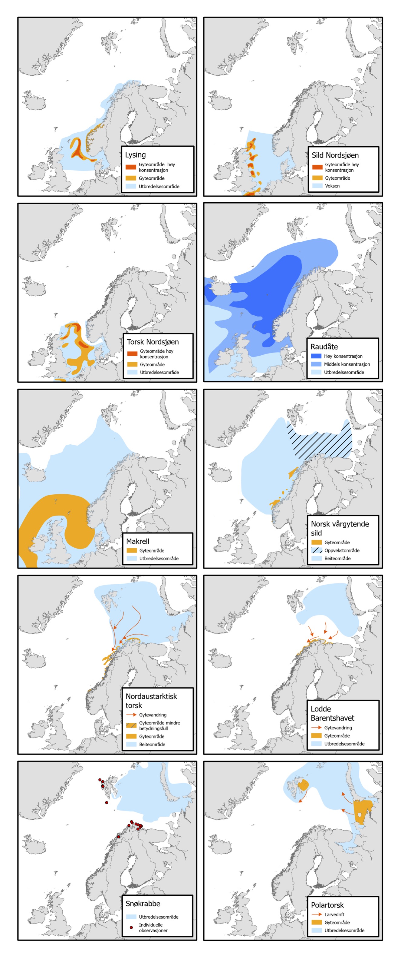 Kart for utbredelse og gyting for nøkkelarter i havområdene Nordsjøen, Norskehavet og Barentshavet.
