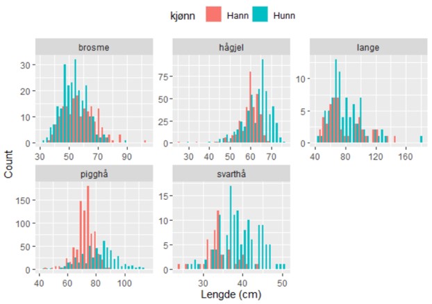 Lengdefordeling av de fem mest tallrike artene, fordelt på kjønn.