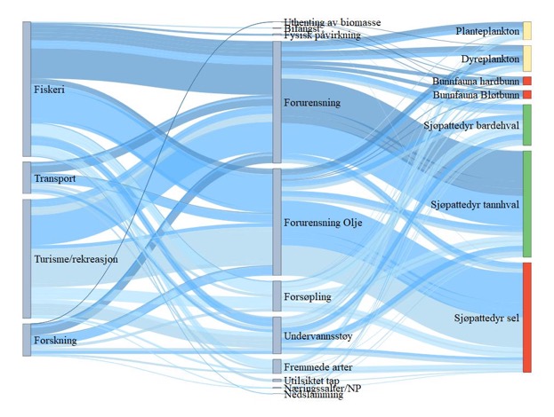 Figur 26. Sankey diagram (hyperlink) for NH4 Midtatlantisk rygg. Figuren viser hvilke sektorer (til venstre) som er koblet til en rekke påvirkninger (midten) og hvordan disse igjen er koblet til risiko for påvirkning på miljøverdiene (til høyre). Fargen på strekene angir middels konfidens (mørk er høy konfidens, lys er lav konfidens), mens tykkelsen på strekene viser bidrag til risiko for påvirkning. Sårbarhet for klimaendringer er angitt av fargene på miljøverdiene; der rødt er høy sårbarhet, oransje er middels, gult er lavt, hvit er ingen sårbarhet og grønt er positiv respons for klimaendringer.