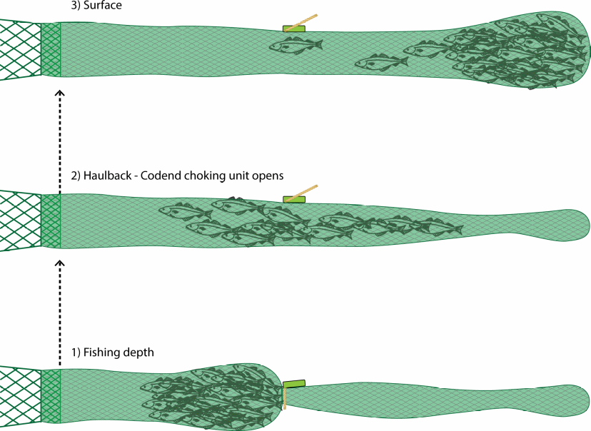  Figure 5.1 – Schematic diagram of the Cod-end choking unit in operation.  1: catch is retained in the cod-end ahead of the closed CCU; 2: the trigger depth is reached and the CCU opens; and 3: the retained catch dissipates into the residual component of the cod-end [Source: Ingolfsson et al, 2022].