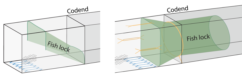 Figure 4.1 – Schematic diagrams of fish lock designs: Left – type 1, panel; Right – type 2, cylinder.  