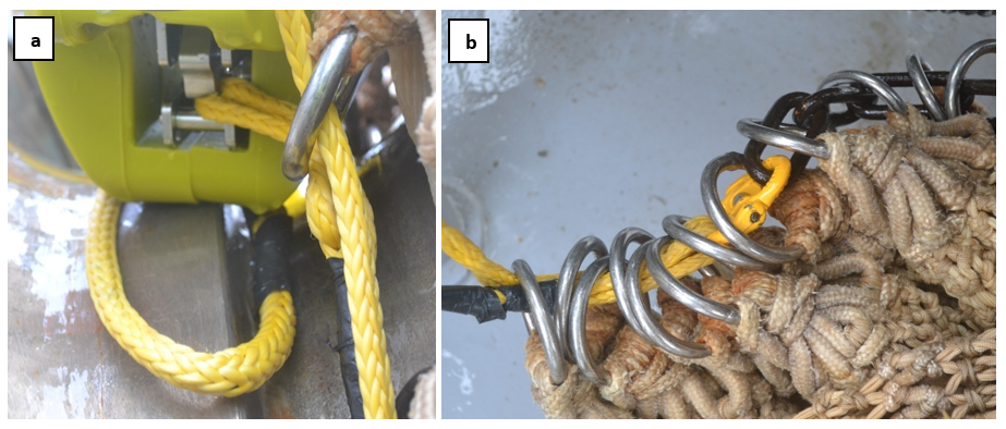 Figure 7.5 – Observations after test C-2 (rig 2); a: the soft eye was only partially released from the releaser jaw; and b: the hammerlock linking the Dynaema twine to the securing chain was jammed in the cod-end skirt rings.