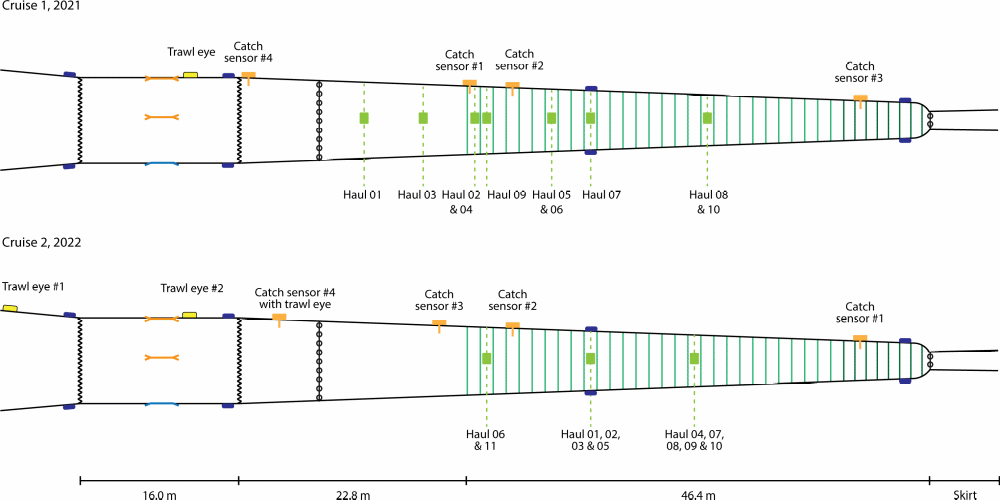 Figure 5.3 - positions on the cod-end of the Cod-end choking unit (CCU) and other instruments for cruise 1 (top) and cruise 2 (bottom).  Releaser positions for each haul in both cruises are shown in green (see also table 5.2). Also shown are the relative positions of the “Trawl-Eye” echo-sounders (yellow), Catch Sensor units (orange) and depth-sensors (blue). [Source: Ingolfsson et al, 2022]. 