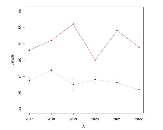 A downward trends has been seen in length of cod in Skagerrak