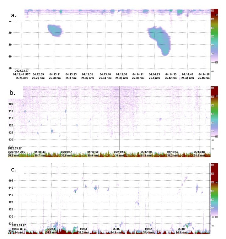 Examples of acoustic data