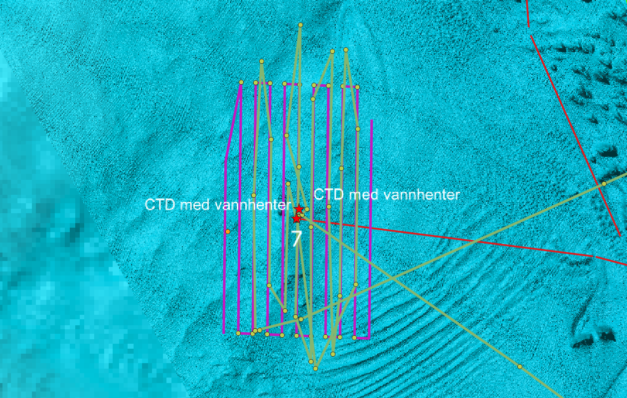 Figure 36. Transect outline (purple), actual tracks (green), LoVe Ocean Observatory node (7).