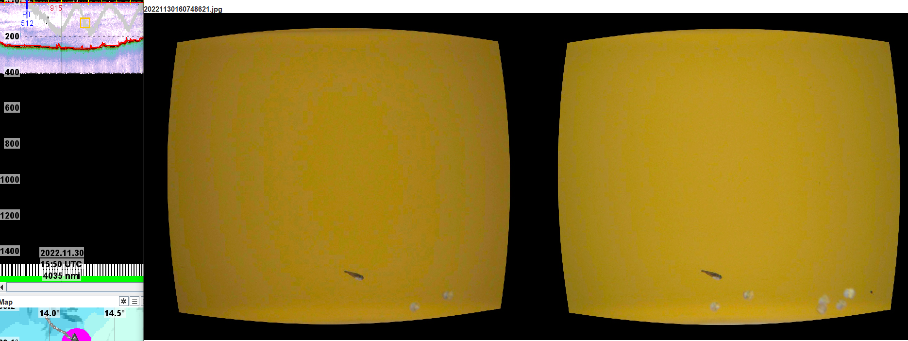 Figure 34. LoVe transect, acoustic data and Deep Vision path (upper panel), example Deep Vision images (lower panel).