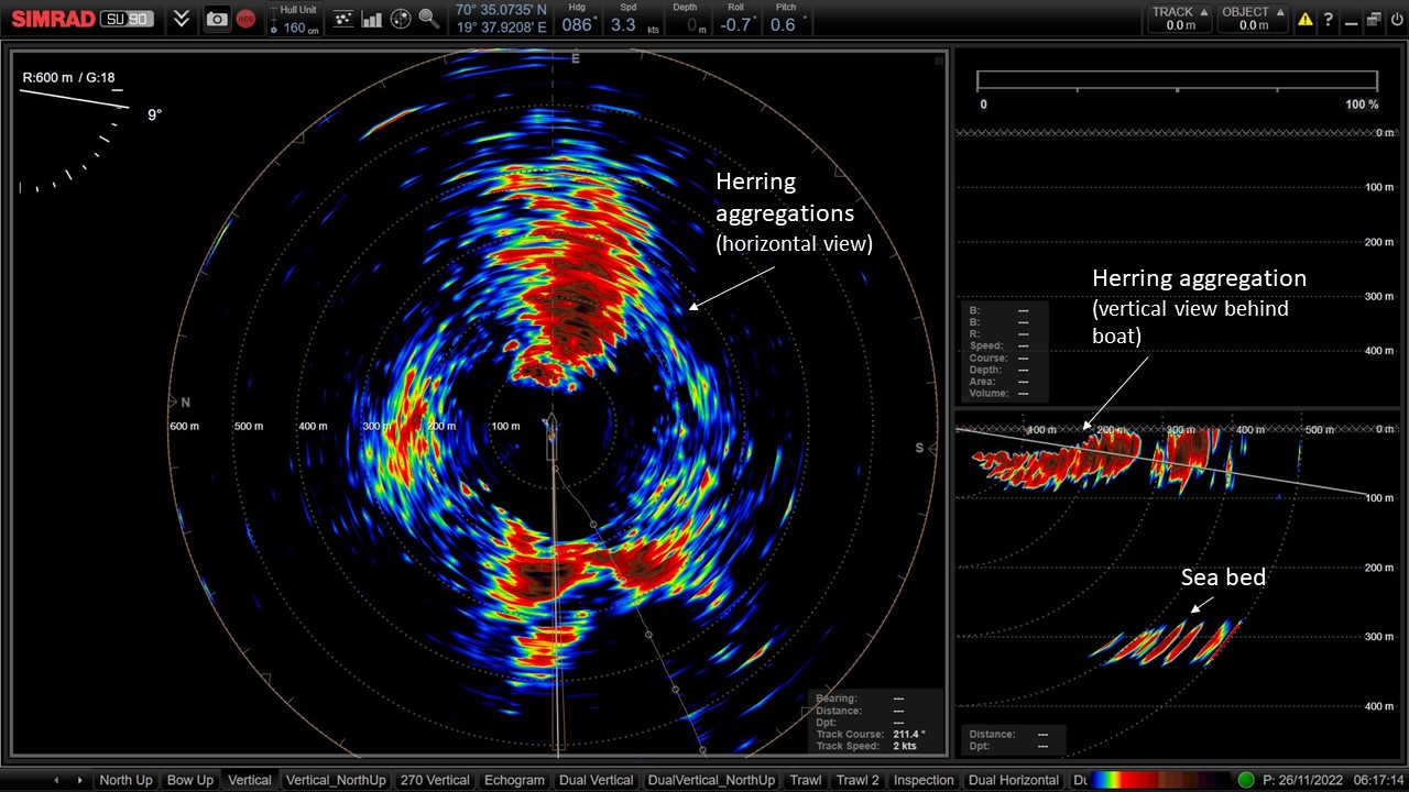 Figure 10. Herring school monitored around the vessel in the horizontal and vertical beams (pointing behind the vessel) of the fisheries multibeam sonar (Simrad SU90).