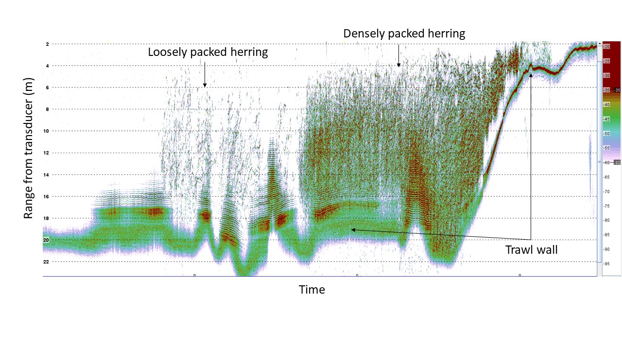 Figure 6. Example of data collected with the wbat mounted in the trawl