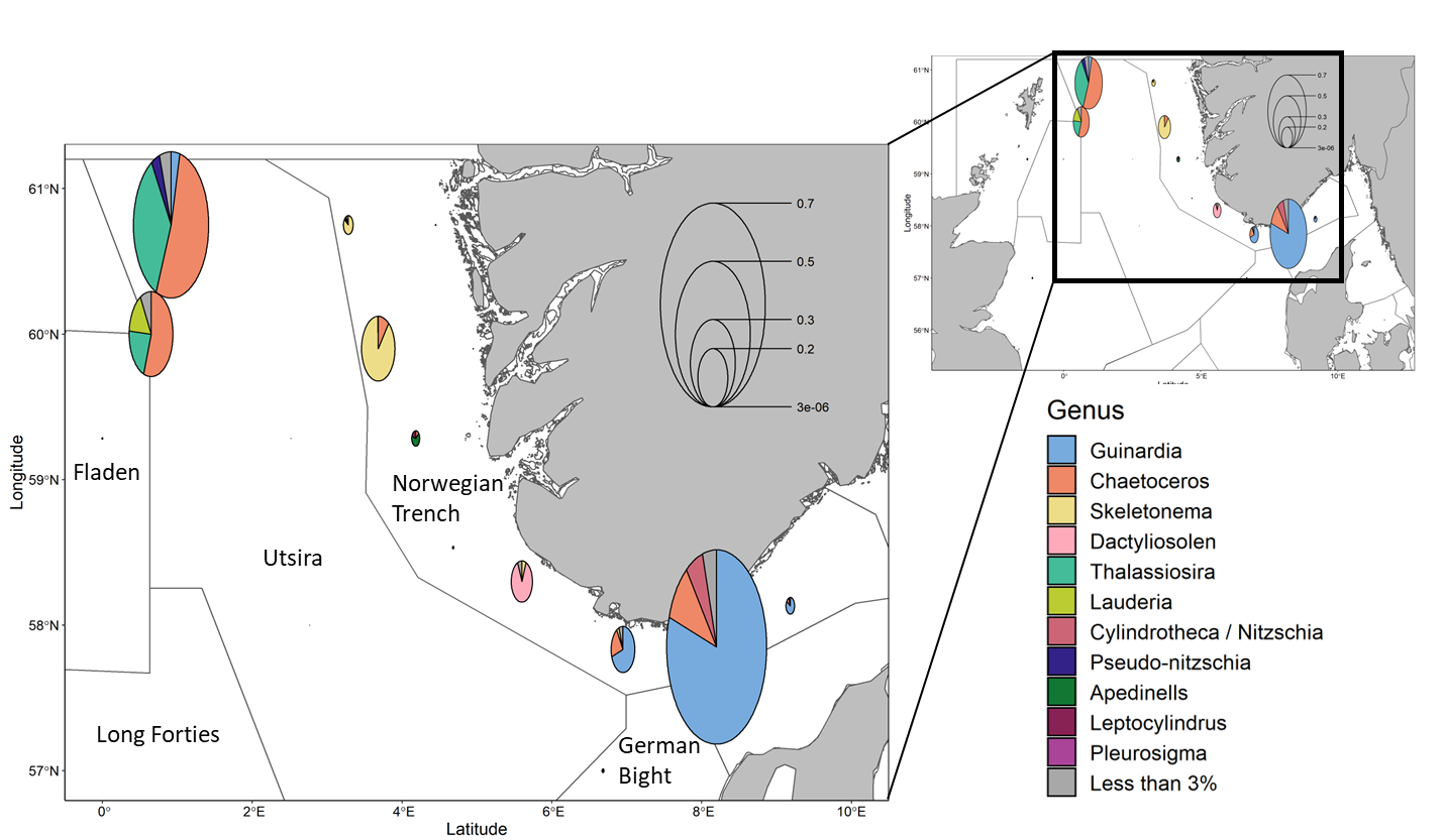 Map showing diatom community composition and abundance at sampled stations with an enlarged inset highlighting stations where diatoms were relatively large contributors to total plankton abundance.  Pie chart radii scale to average cell concentrations in 3.6×105 cells ml-1.