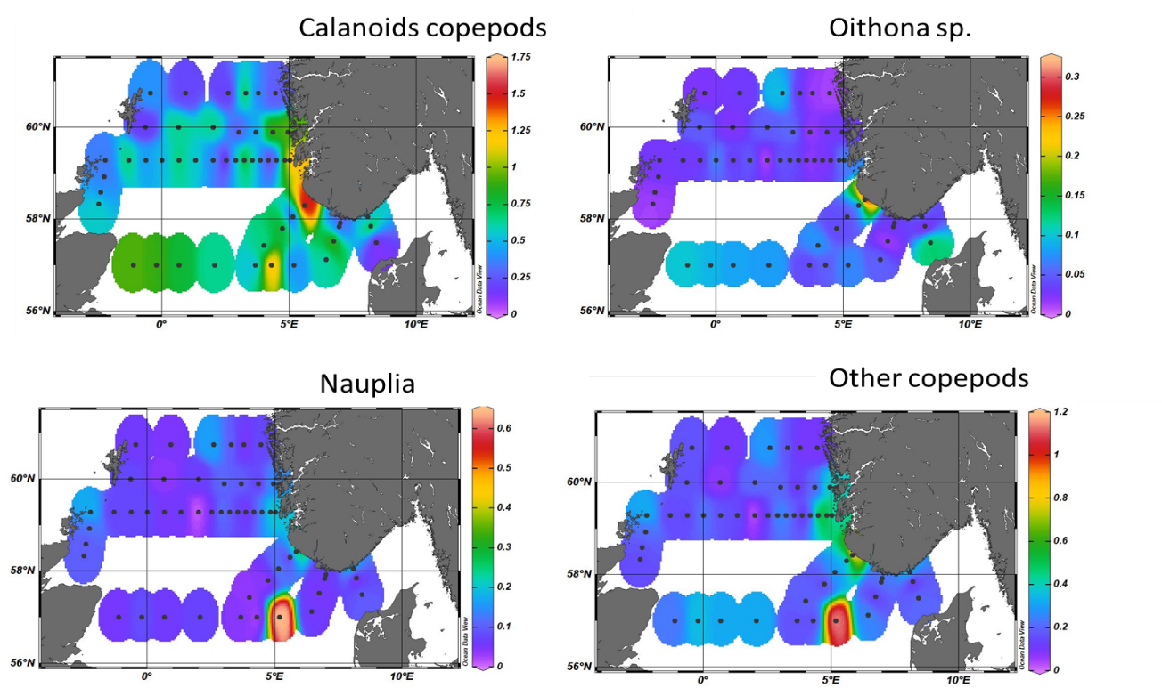 Areal distribution of Calenoids copepod, Oithona sp, nauplia and other copepods based on FlowCam imaging system.