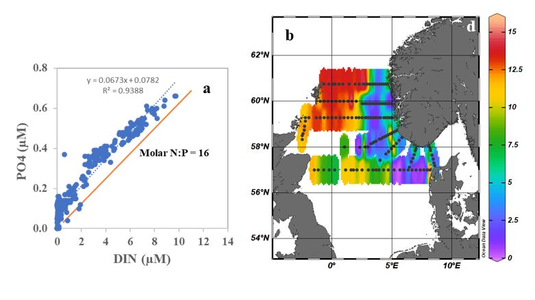 Dissolved inorganic nutrients measured in surface waters (0-10 m depth) from the North Sea Ecosystem cruise (14 – 26 April 2022). a) Phosphate plotted as a function of dissolved, combined nitrogen (DIN= NO2+NO3), and b) surface distribution of the Redfield N:P relationship being 16 the ratio value assumed necessary for a balanced cellular synthesis and growth in phytoplankton.