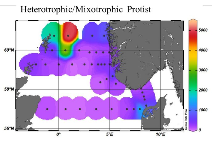 
Figure 16. Heterotrophic and mixotrophic protist abundance distribution based on imaging analysis using a Flowcam VS-1.
