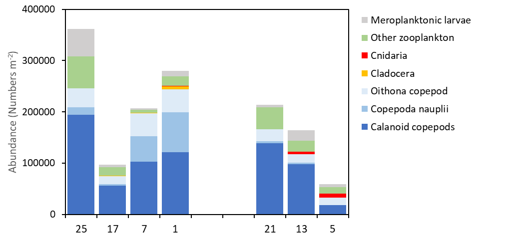 Zooplankton abundance (numbers/m2) on selected stations along two transects Utsira-StartPoint (Stn 1-25) and Hanstholm-Aberdeen (Stn 5-13). Positions shown in map, Figure 21