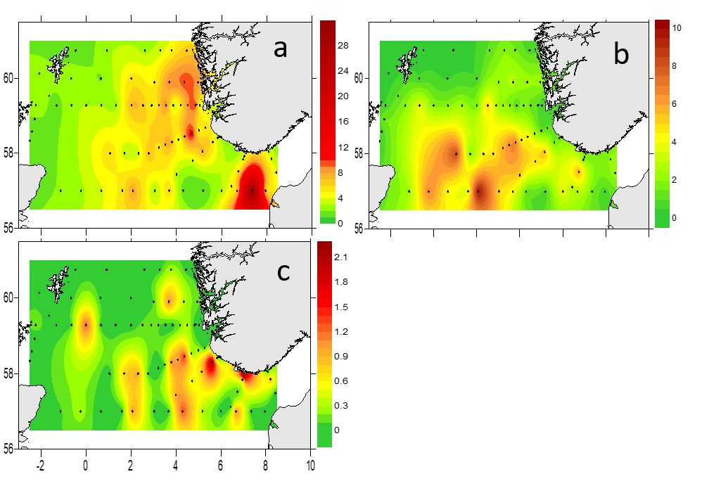 Zooplankton biomass (g dry weight m-2) in depth integrated net tows (bottom-0 m, WP2) . a) size fraction 180-1000 µm.