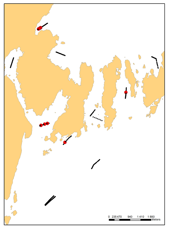   Figur 4. Posisjon for de 11 gjennomførte video-transektene rundt Ånuglo.