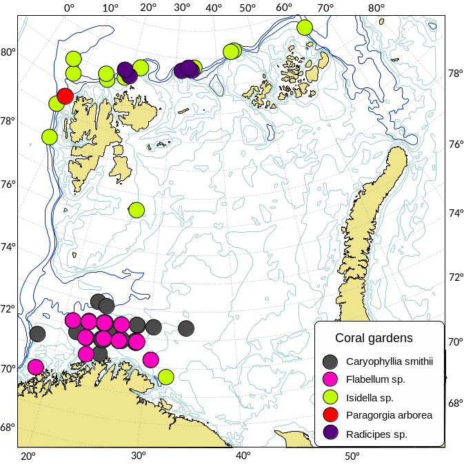 Utbredelsen av koraller i Barentshavet.