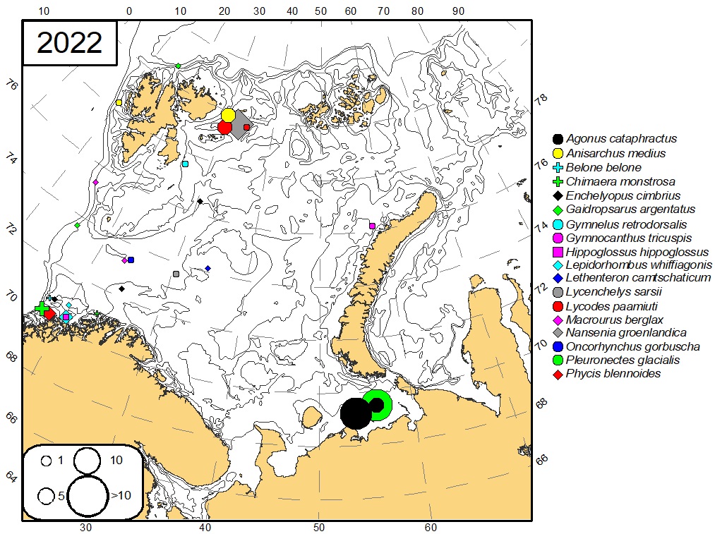 Figure 9.3.1. Distribution of uncommon or rare species which were found in the survey area in 2022