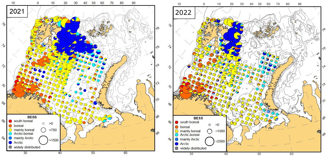 Figure 9.4.1. Distribution of non-commercial fish species from different zoogeographic groups during the ecosystem survey 2021 (left) and  2022 (right). The size of circles corresponds to total abundance (individuals per nautical mile, only bottom trawl stations were used, both pelagic and demersal species are included) 