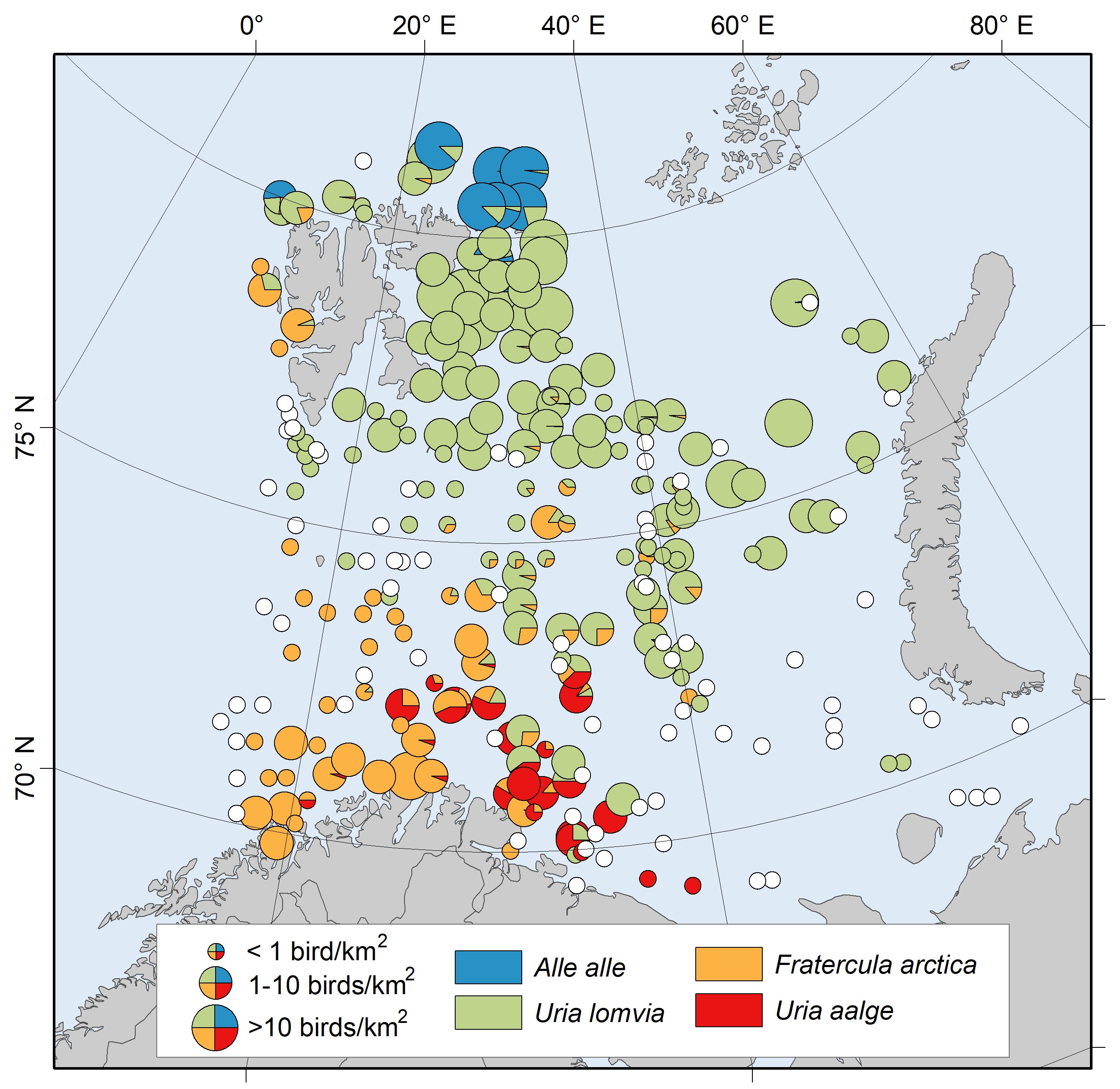 Ch 12.3.1 Density of auks along transects