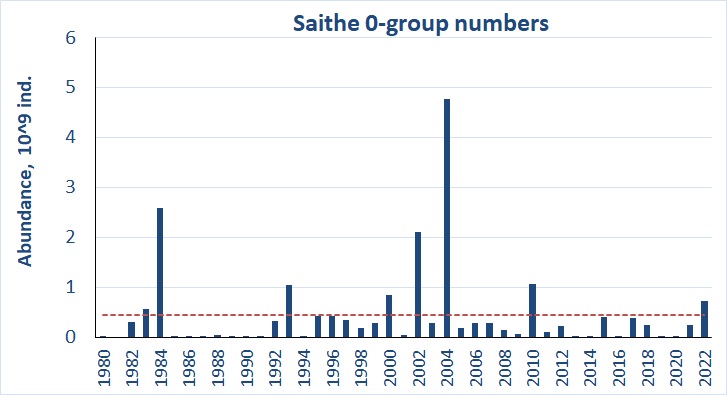 Ch 6 0-group saithe abundance estimate