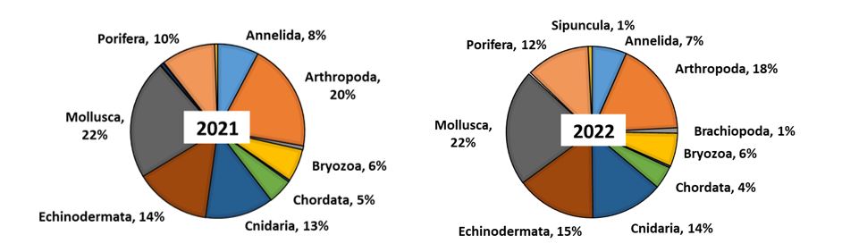 Numb of benthic taxa as % distribution 2021 left and 2022 right