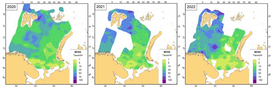 Megabenthic trawl catch in number 2020, 2021, 2022