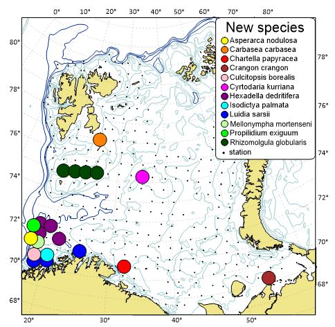 Megabenthic sites of first finding 2022