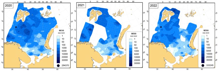 Abundance og Megabenthos 2020, 2021, 2022