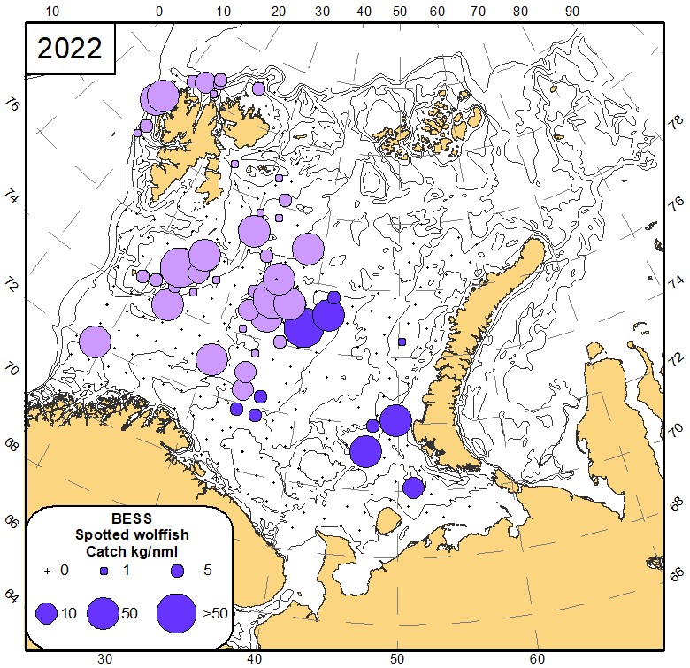 Fig 8.10 Distribution of spotted wolffish