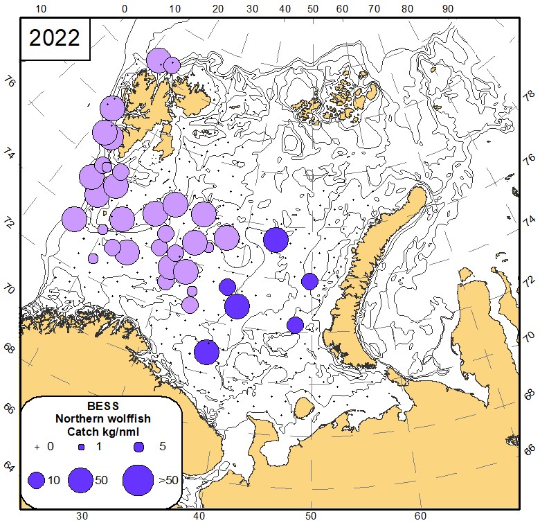 Fig 8.11 Distribution of northern wolffish