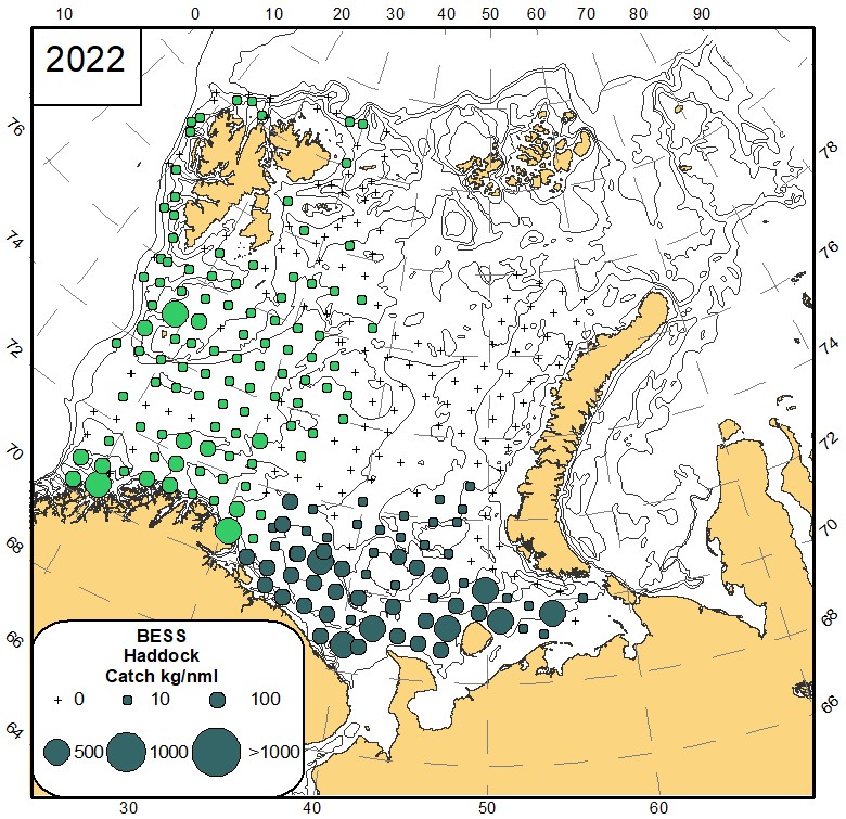 Fig 8.1 Distribution of haddock