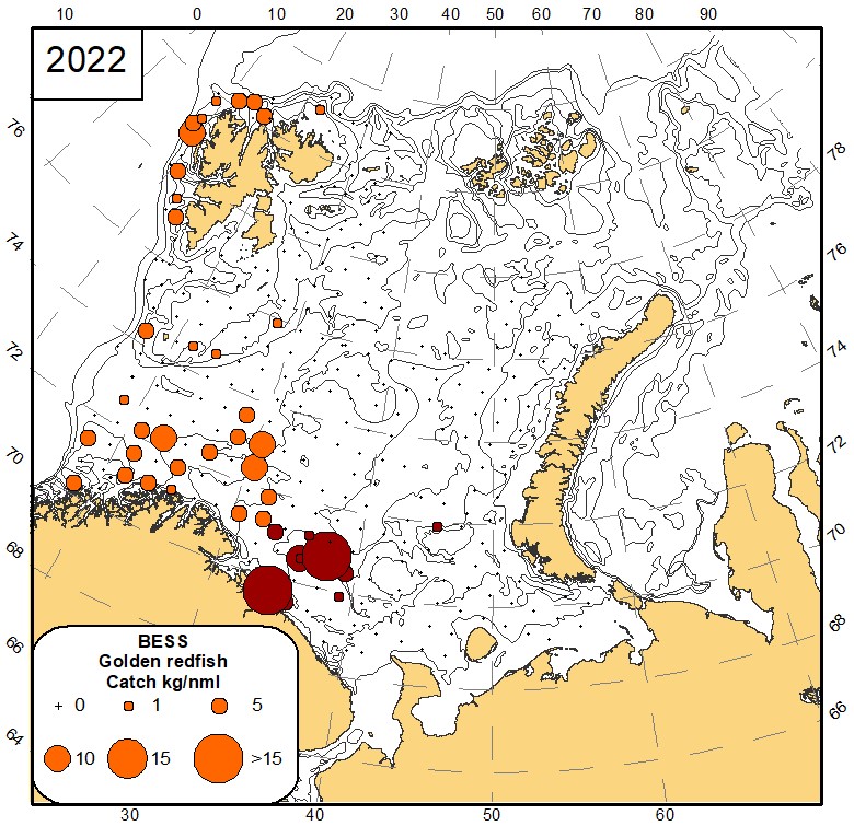 Fig 8.5 Distribution of golden redfish