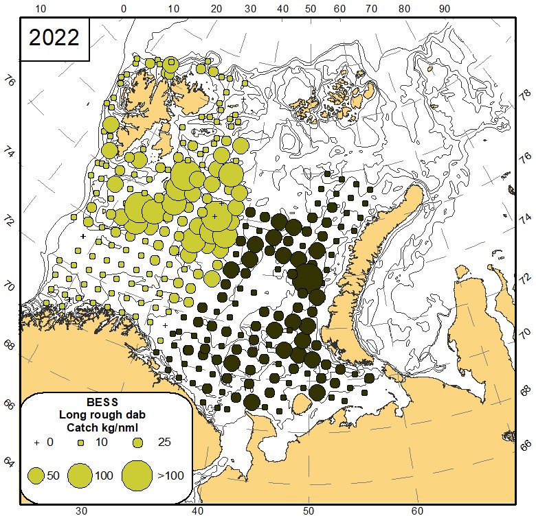 Fig 8.7 Distribution of long rough dab