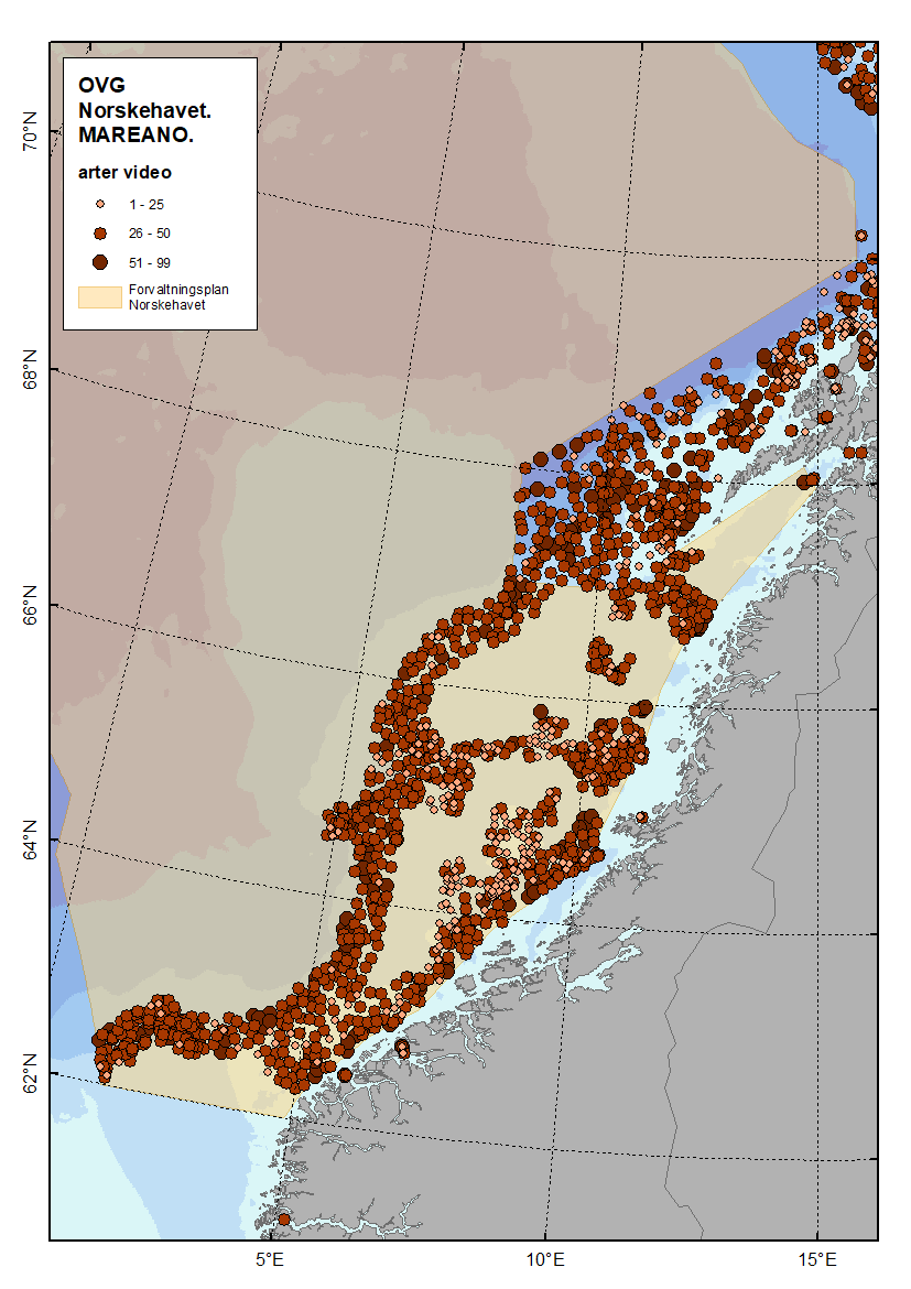 Figur 4.2.7.2 Oversikt over antall observerte taksonomiske grupper i de delene av Norskehavet hvor Mareano har kartlagt havbunnen. Kilde: Mareano