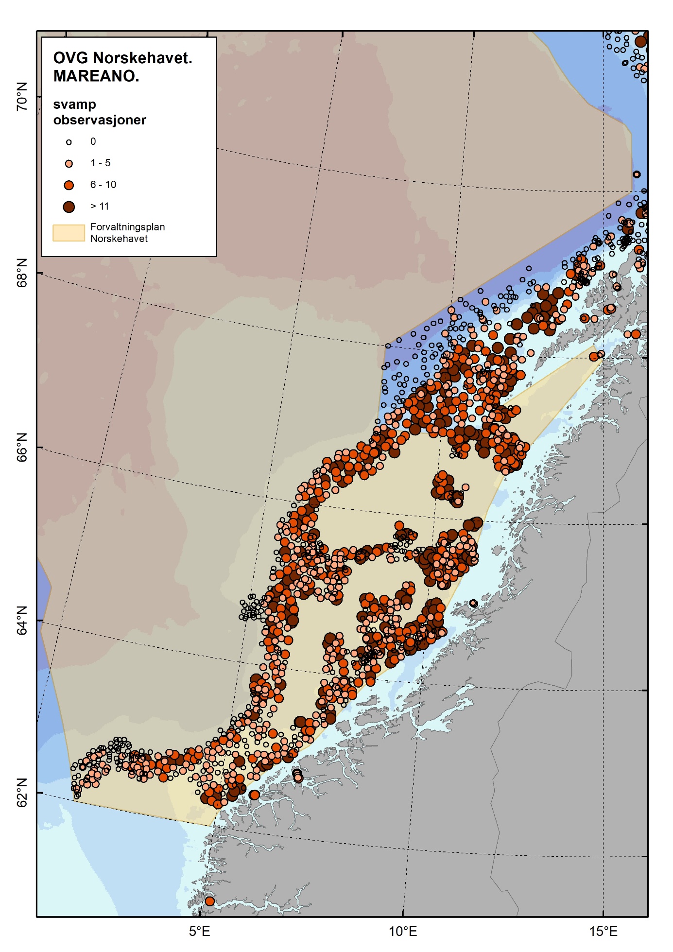 Figur 4.2.7.4 Oversikt over fordeling av svamp i Norskehavet basert på observasjoner i felt. Størrelse og farge på symbolene indikerer antall observasjoner per videolinje. Kilde: Mareano.