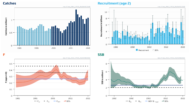 Figure D.1.1 Mackerel in subareas 1–8 and 14, and in Division 9.a. Summary of the stock assessment. Catches prior to 2000 have been down-weighted in the assessment because of the considerable underreporting suspected to have taken place in this period. Abundance estimates of age 0 and 1 from the assessment model poorly reflect year-class strength and therefore recruitment is shown at age 2. Source: ICES (2022c)