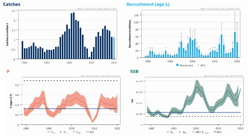 Figure D.1.3 Blue whiting in subareas 1–9, 12, and 14. Summary of the stock assessment. The catch estimate for 2022 is preliminary. The assumed recruitment value for 2023 is shaded in a lighter colour. ICES (2022a).