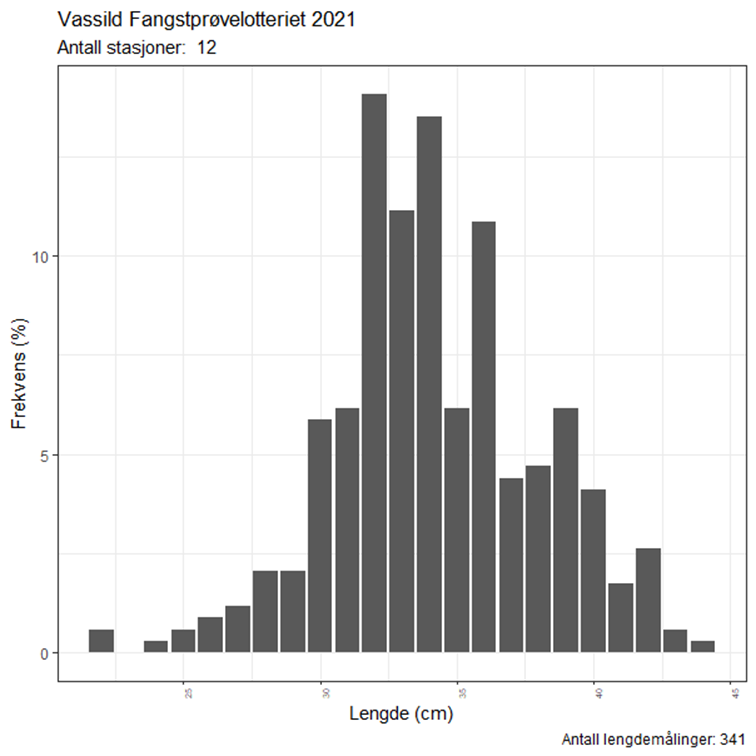 Lengdefordeling vassild