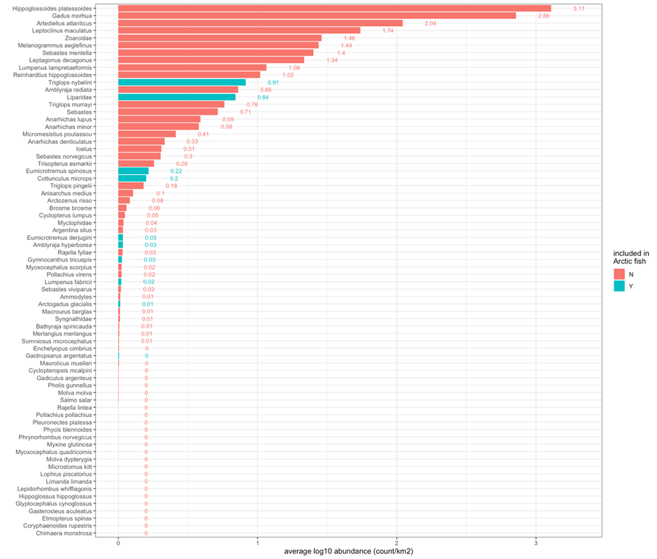 Mean abundance of demersal fish species in the Arctic part of the Barents Sea. Blue bars denote species classified as Arctic species.