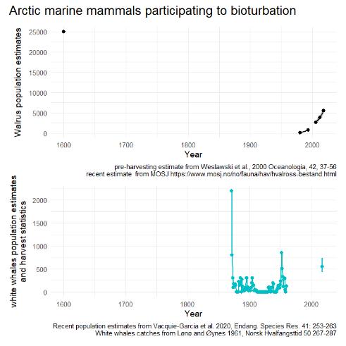 Figure A.19.1 Recent and pre-harvesting estimates of walrus, and recent population estimates and catch statistics of white whales, species that are participating in Arctic seafloor bioturbation.