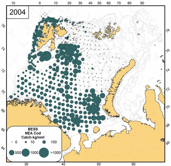 Figure A.26.4. Geographical distribution of cod from the Barents Sea Ecosystem Survey in 2004